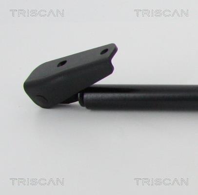 Cilindro Triscan A/S ref. 8710 68219