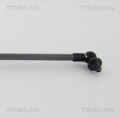 Cilindro Triscan A/S ref. 8710 68219