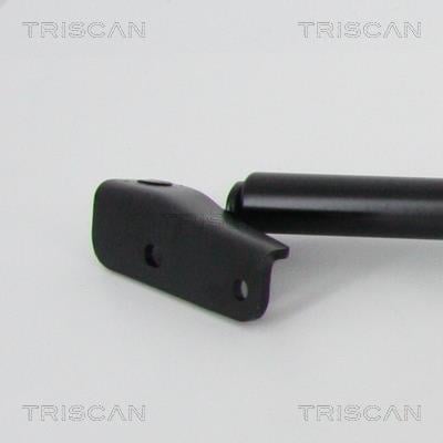Vérin (Vérin de hayon) Triscan A/S 8710 68220