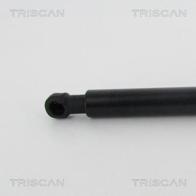 Vérin (Vérin de hayon) Triscan A/S 8710 68221
