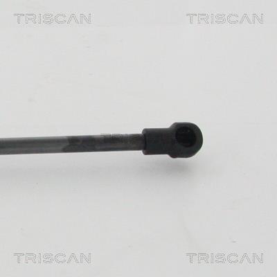 Vérin (Vérin de hayon) Triscan A/S 8710 68221