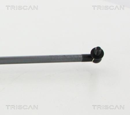 Vérin (Vérin de hayon) Triscan A/S 8710 68223