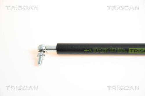 Vérin (Vérin de hayon) Triscan A/S 8710 69207