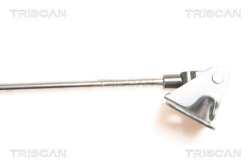 Vérin (Vérin de hayon) Triscan A/S 8710 69207