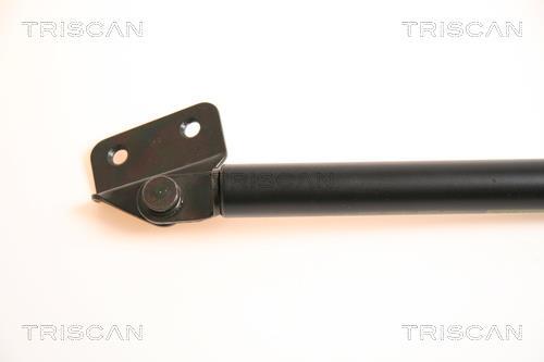 Vérin (Vérin de hayon) Triscan A/S 8710 69210