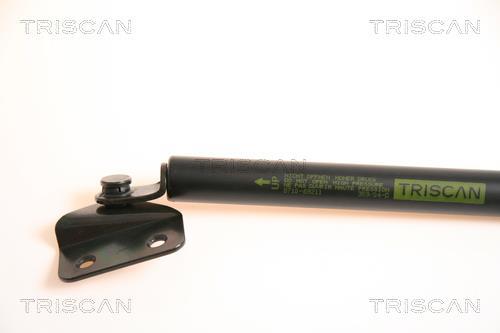 Vérin (Vérin de hayon) Triscan A/S 8710 69211