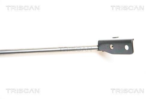 Vérin (Vérin de hayon) Triscan A/S 8710 69211