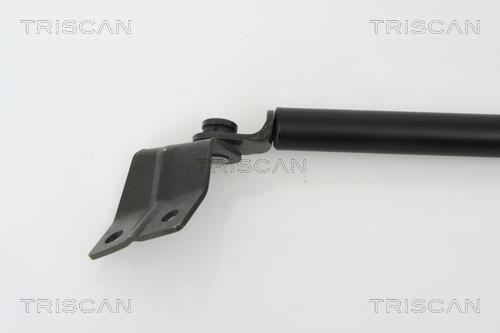 Vérin (Vérin de hayon) Triscan A/S ref. 8710 69214