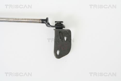 Vérin (Vérin de hayon) Triscan A/S ref. 8710 69214