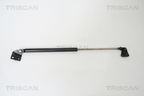 Muelle neumático Triscan A/S 8710 69215
