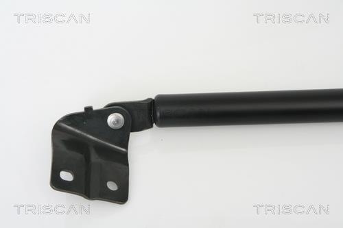 Muelle neumático Triscan A/S 8710 69215