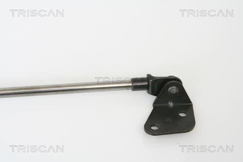 Muelle neumático Triscan A/S 8710 69215