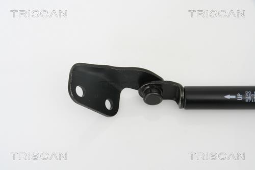 Vérin (Vérin de hayon) Triscan A/S 8710 69217