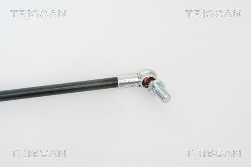 Vérin (Vérin de hayon) Triscan A/S 8710 69217
