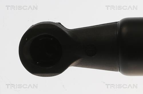 Vérin (Vérin de hayon) Triscan A/S ref. 8710 69221