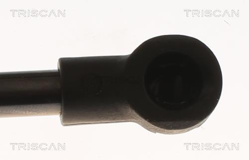 Vérin (Vérin de hayon) Triscan A/S ref. 8710 69221