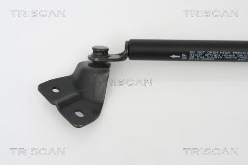 Vérin (Vérin de hayon) Triscan A/S ref. 8710 69223