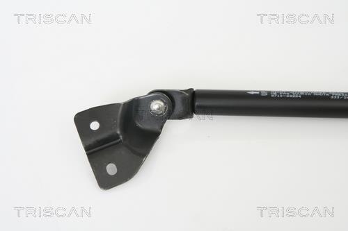 Vérin (Vérin de hayon) Triscan A/S ref. 8710 69224