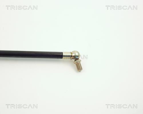 Vérin (Vérin de hayon) Triscan A/S ref. 8710 7000