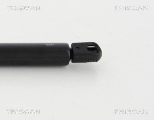 Vérin (Vérin de hayon) Triscan A/S 8710 70201