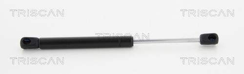 Cilindro Triscan A/S ref. 8710 80102