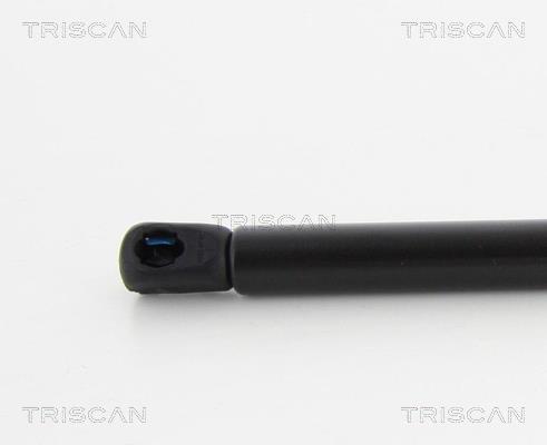 Cilindro Triscan A/S ref. 8710 80102