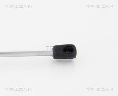 Cilindro Triscan A/S ref. 8710 80102