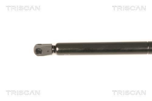 Vérin (Vérin de hayon) Triscan A/S 8710 80203