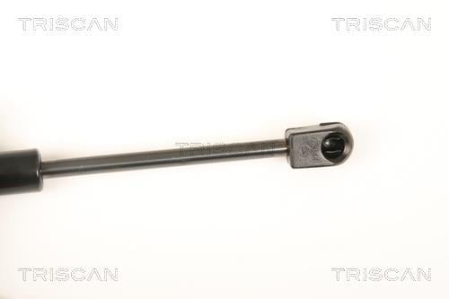 Vérin (Vérin de hayon) Triscan A/S 8710 80203