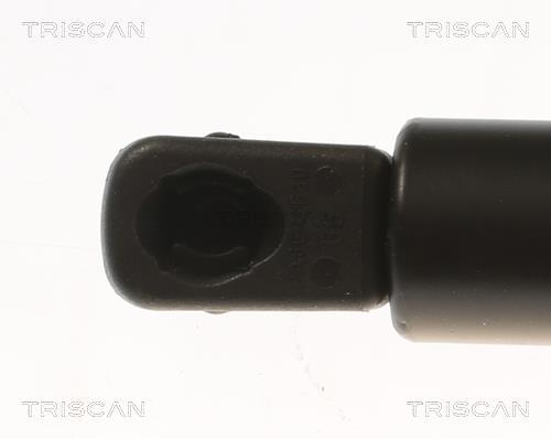 Vérin (Vérin de hayon) Triscan A/S ref. 8710 80204
