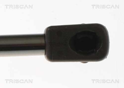 Vérin (Vérin de hayon) Triscan A/S ref. 8710 80204