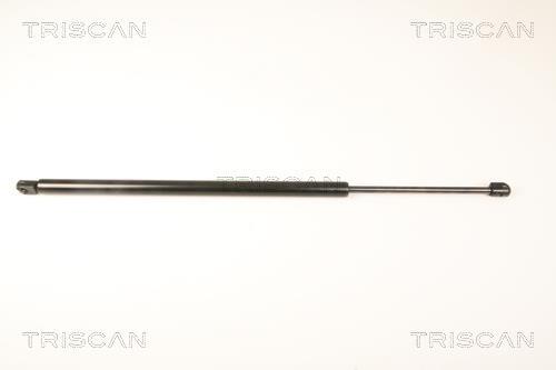 Vérin (Vérin de hayon) Triscan A/S 8710 80205