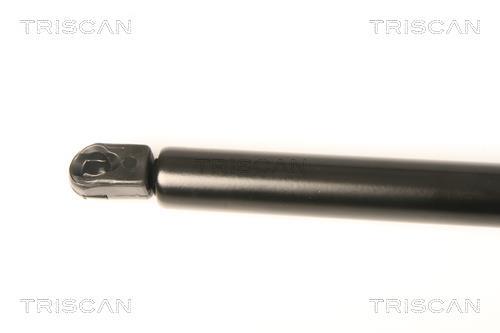 Vérin (Vérin de hayon) Triscan A/S 8710 80205