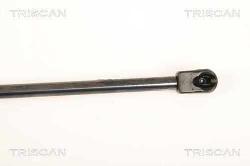 Vérin (Vérin de hayon) Triscan A/S 8710 80205