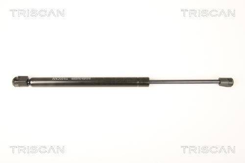 Vérin (Vérin de hayon) Triscan A/S 8710 80207