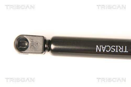 Vérin (Vérin de hayon) Triscan A/S 8710 80207