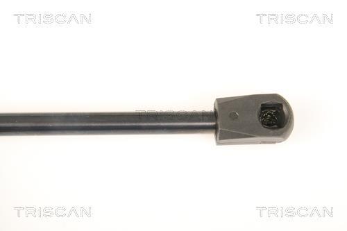 Vérin (Vérin de hayon) Triscan A/S 8710 80207