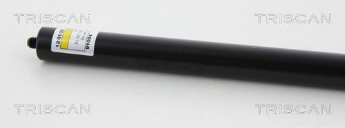 Vérin (Vérin de hayon) Triscan A/S 8710 80209