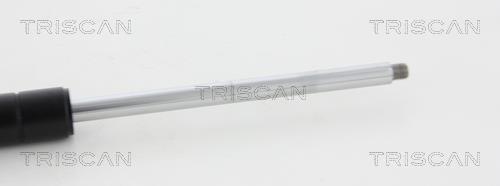 Vérin (Vérin de hayon) Triscan A/S 8710 80209