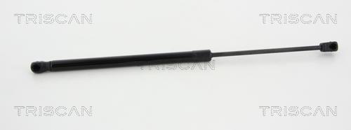 Vérin (Vérin de hayon) Triscan A/S 8710 80210