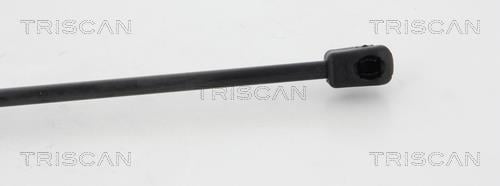 Vérin (Vérin de hayon) Triscan A/S 8710 80210