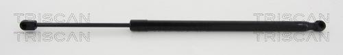 Vérin (Vérin de hayon) Triscan A/S ref. 8710 80213