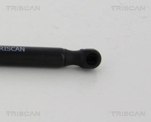 Vérin (Vérin de hayon) Triscan A/S ref. 8710 80214