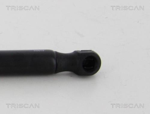 Vérin (Vérin de hayon) Triscan A/S 8710 80215