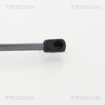 Vérin (Vérin de hayon) Triscan A/S 8710 80216