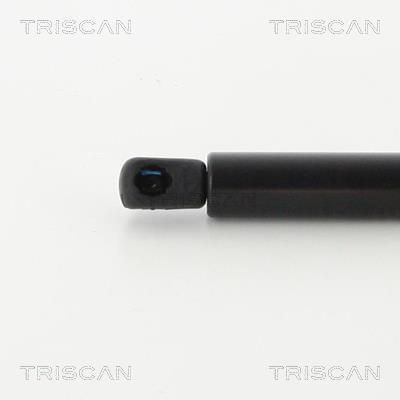 Vérin (Vérin de hayon) Triscan A/S 8710 80216