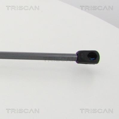 Vérin (Vérin de hayon) Triscan A/S 8710 80217
