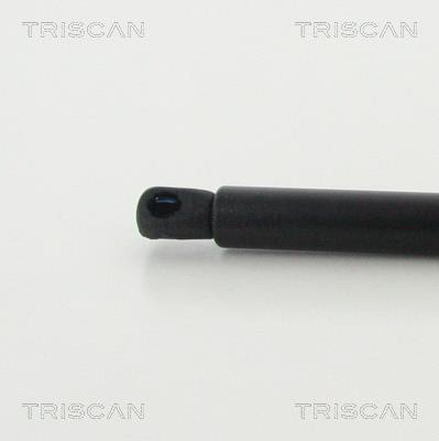 Vérin (Vérin de hayon) Triscan A/S 8710 80217