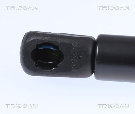 Vérin (Vérin de hayon) Triscan A/S 8710 81101