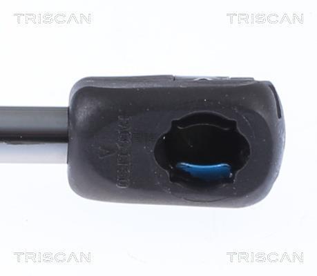 Vérin (Vérin de hayon) Triscan A/S 8710 81101